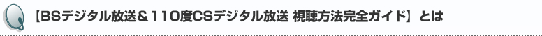 BS�f�W�^��������110�xCS�f�W�^������ �������@���S�K�C�h�Ƃ�